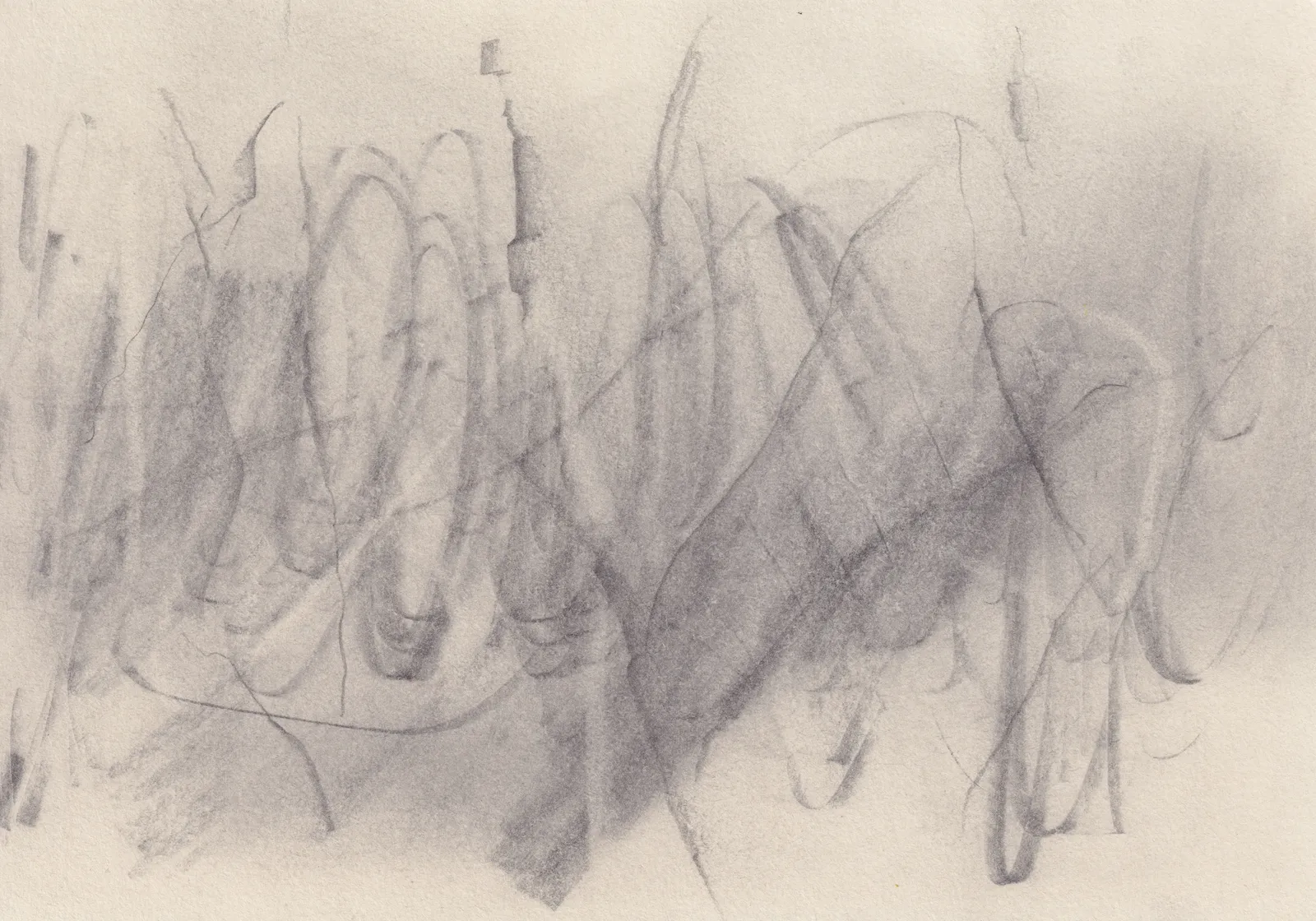 Dense graphite drawing on cream paper: looping scribbled ovals and tall strokes over a smoky grey wash, crossed by a broad dark diagonal